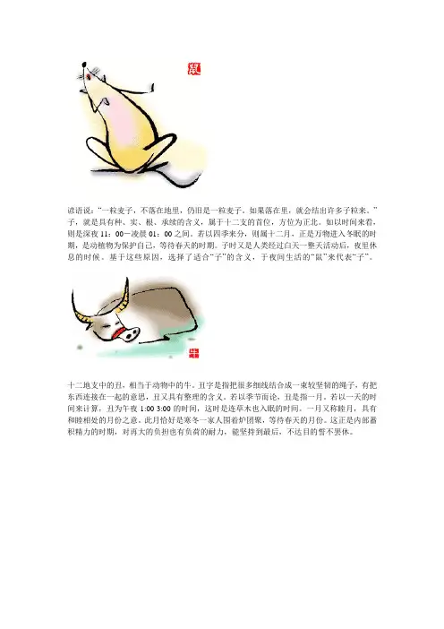 自古英雄出少年，生肖之谜的经典解读