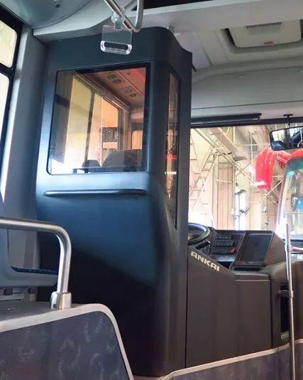 揭秘金勇俊的生肖之谜，深入解析与趣味解读