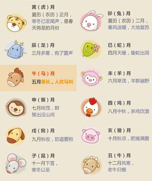 寒冬腊月打一正确生肖，新型作答落实解释