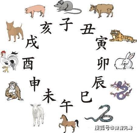 揭秘无独有偶背后的生肖玄机，一语中的全面解析