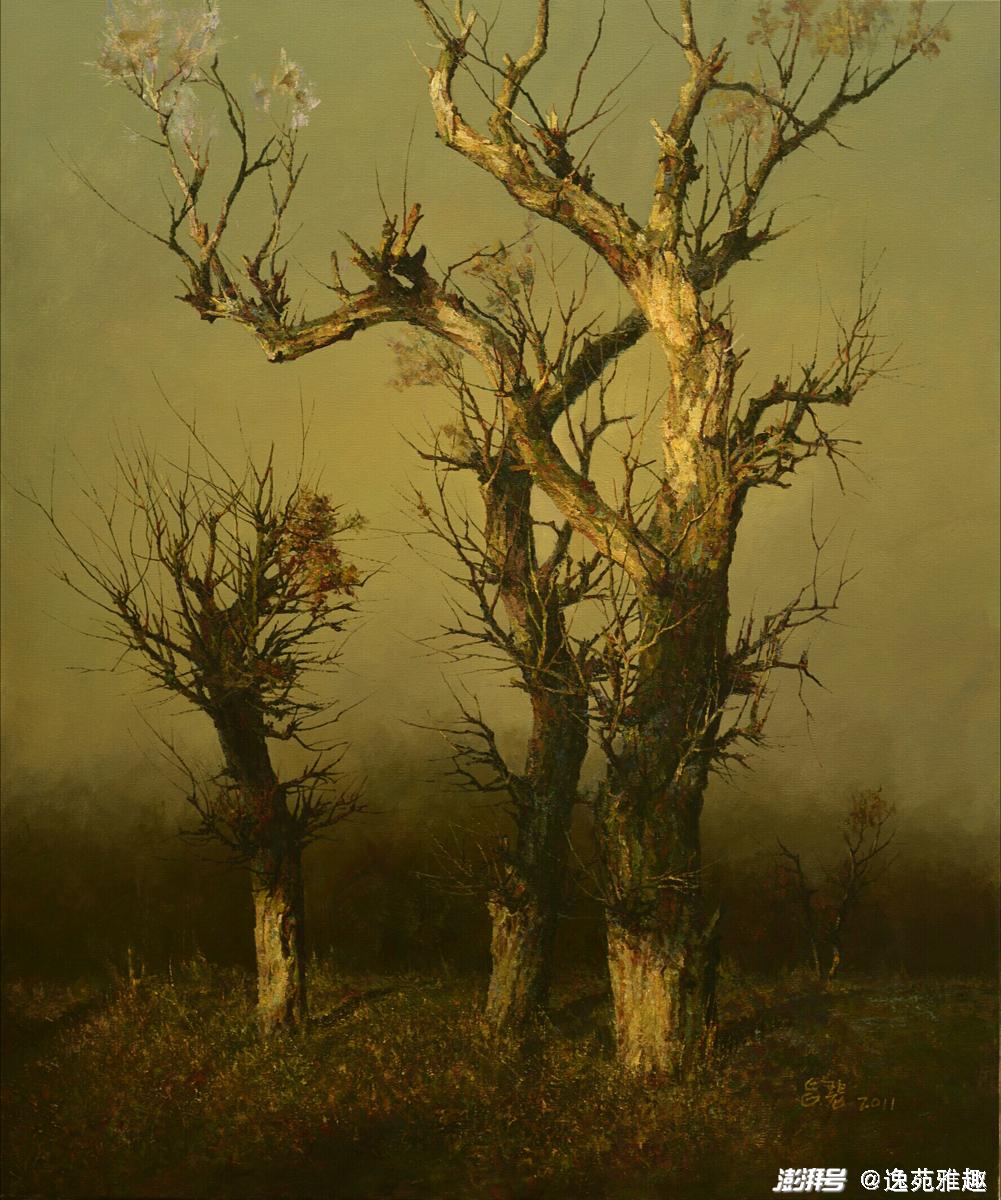 绝不轻饶猜一生肖，背后的坚韧与不屈