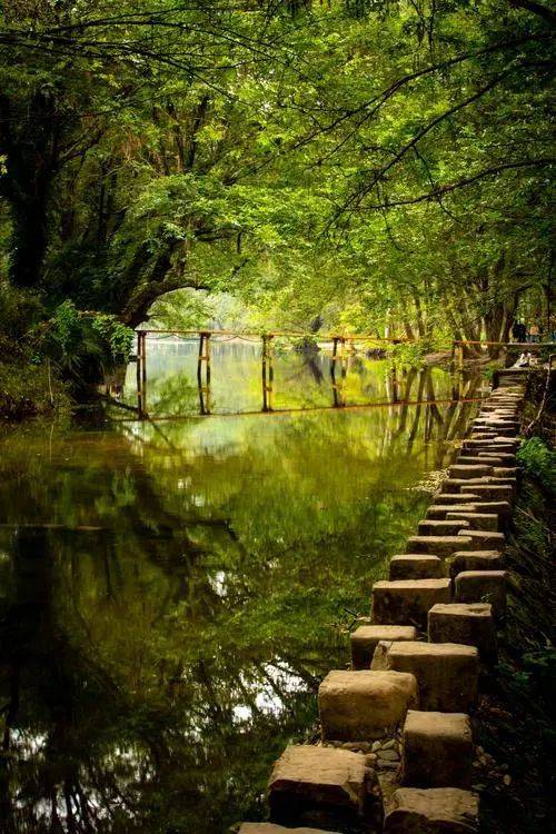 探秘小桥流水间的灵动身影—揭秘画中游之谜