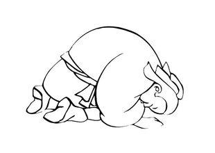 探秘三跪九叩背后的生肖寓意，和谐共舞的智慧