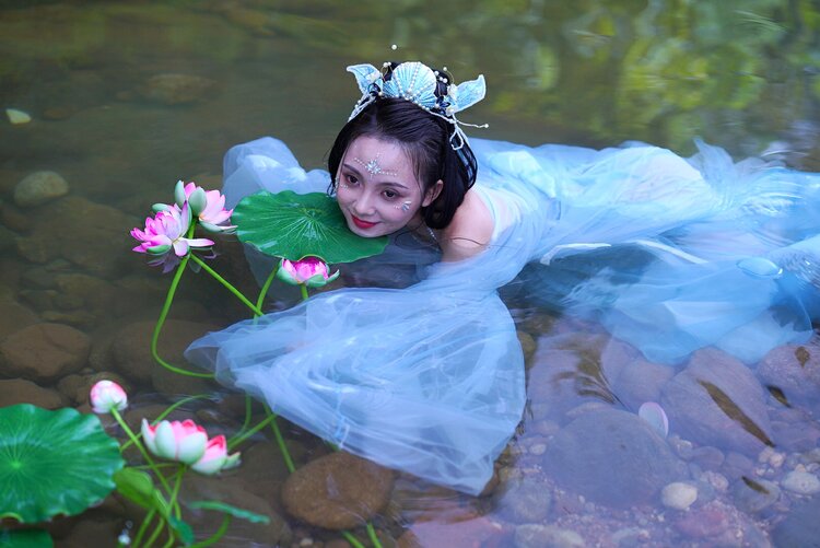 探秘出水芙蓉背后的生肖之谜 探秘出水芙蓉背后的生肖之谜