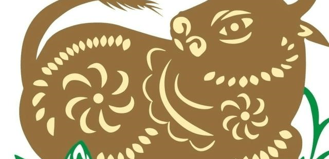 轰轰烈烈是指什么生肖，选择解释落实