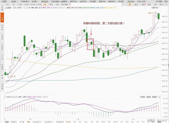 揭秘气吞牛斗，生肖背后的文化寓意与解读