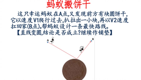 十二生肖中的财神代表，揭秘与解析