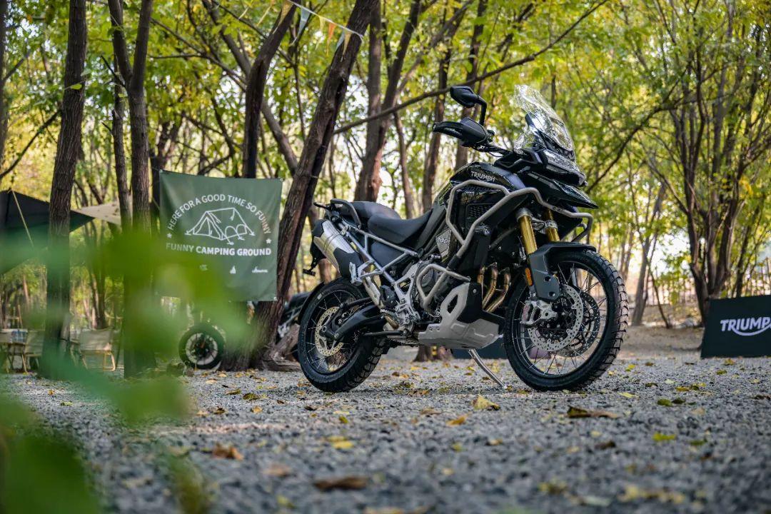 放虎归山，生肖之谜与友爱精神的深刻寓意