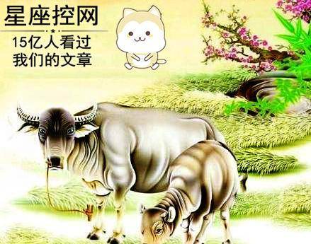 牛的三合生肖及其文化寓意解析