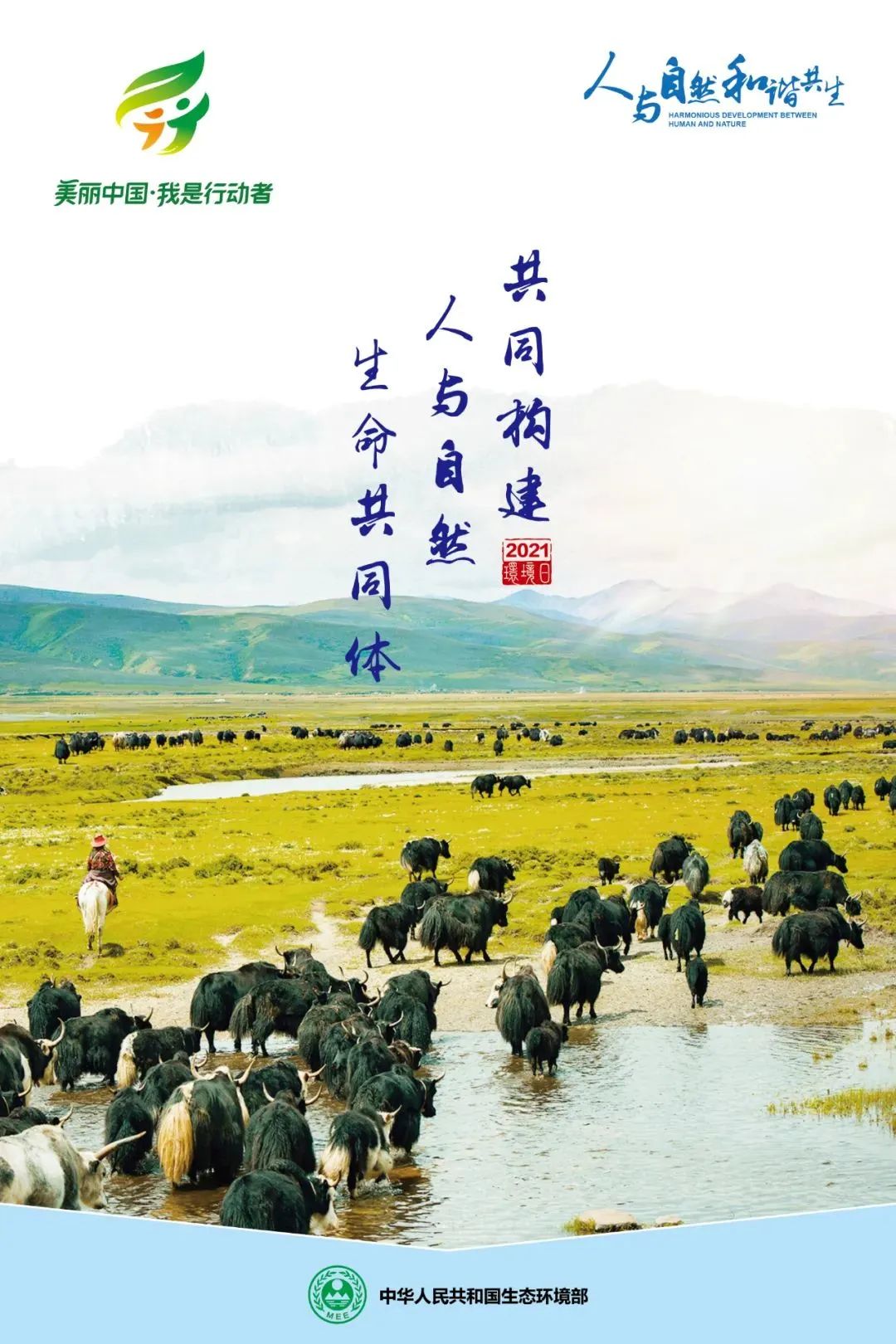 水火无情与生肖共舞，探索和谐共生的智慧