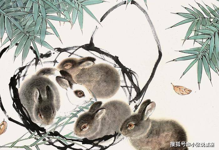 万众一心，生肖背后的团结力量与一语中的智慧