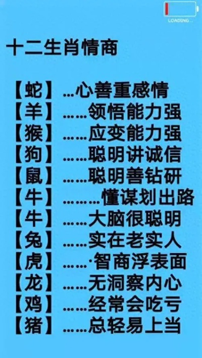 心事重重打一正确生肖，全面解析与落实