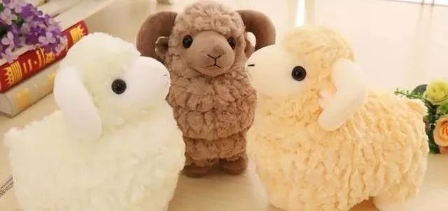 大吼大叫的生肖—探寻背后的哲理与智慧