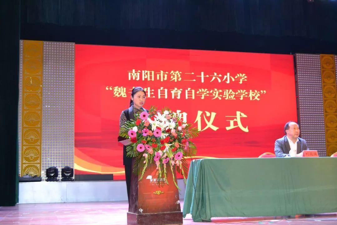 探秘天衣无缝与生肖之谜，一场智慧与趣味的奇妙对话