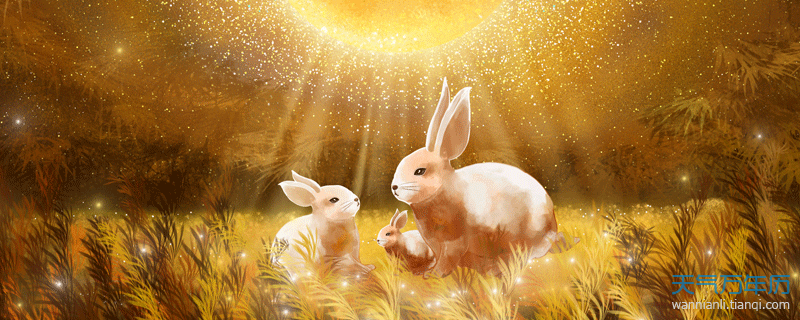 兔的贵人是什么生肖，实证分析与文化解读