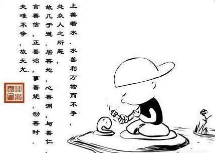 揭秘行百里者半九十与动物之谜，人生哲理的深度解析