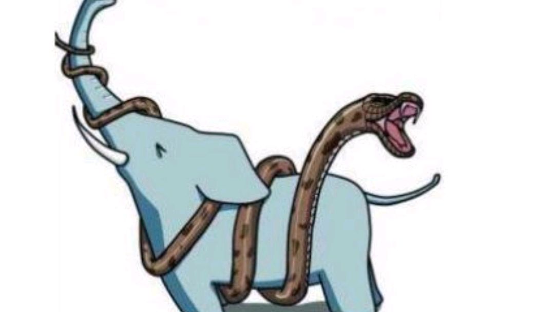 人心不足蛇吞象猜一生肖，一场误导解释的落实与反思