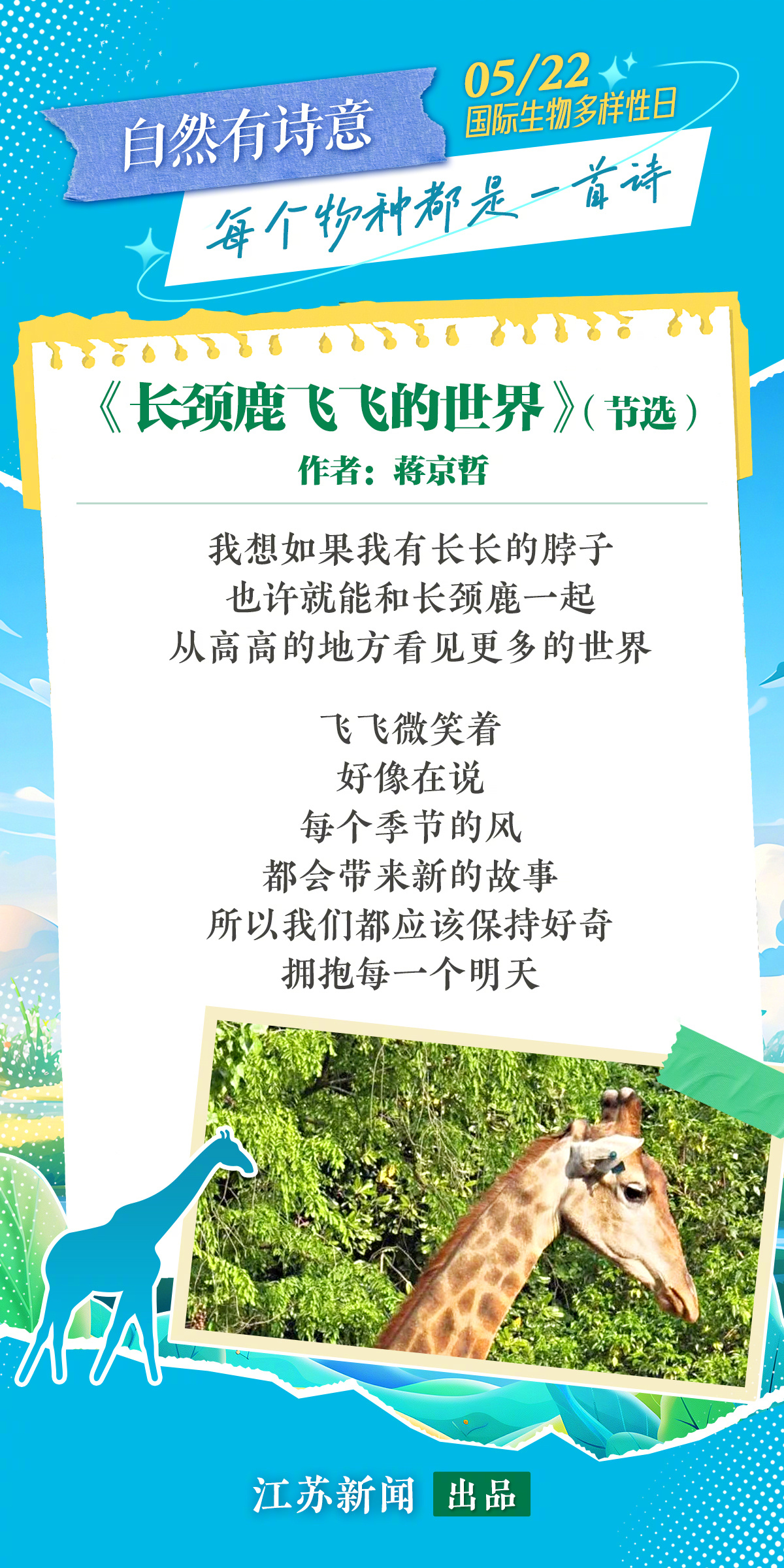 来去自如声飞扬猜一动物，成就解释落实