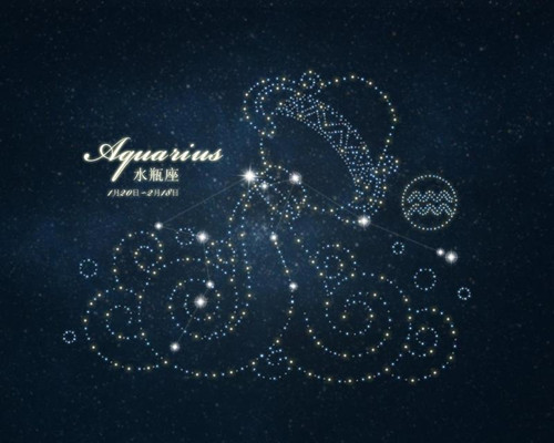 揭秘二进四得十的奥秘，探寻生肖之谜与智慧结晶