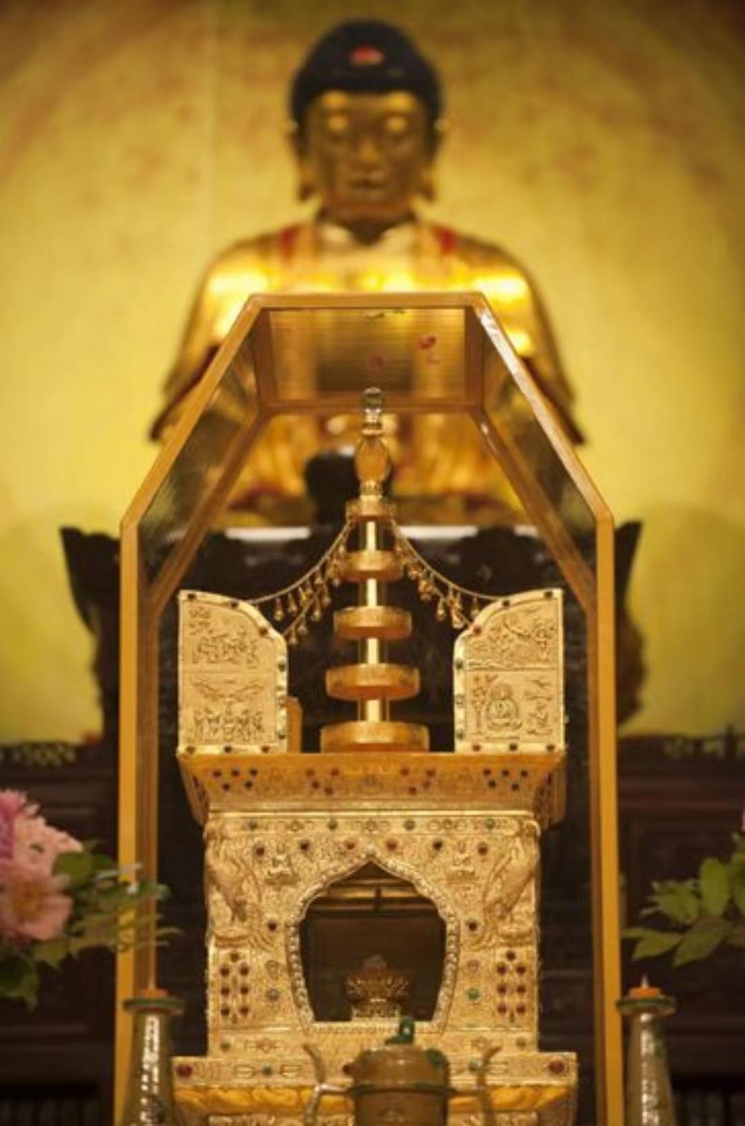 六月飞雪猜一生肖，谜团与智慧的碰撞