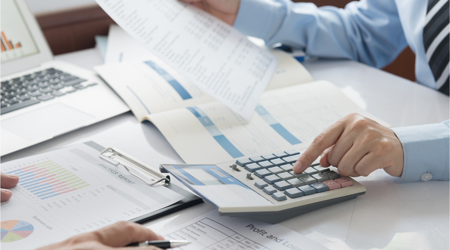 明目张胆猜一动物，专业作答与深入解释