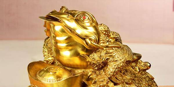 夜明珠代表什么生肖，正确解释与落实