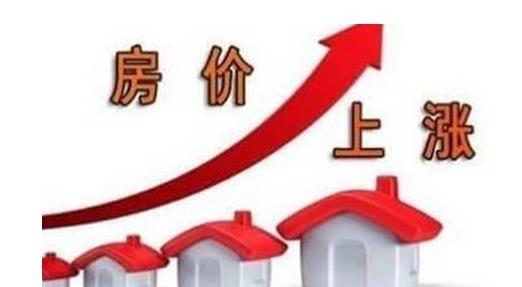 五光十色背后的谜题，揭秘孔雀的奇妙世界