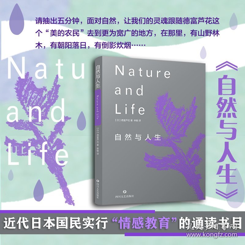 烟雨蒙蒙中的生肖智慧，一场关于自然与人生的深度解析