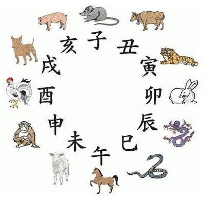 十二生肖字的读音，能人解释与现代生活的落实