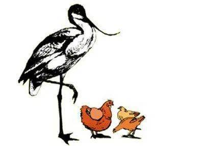 羡君终解古人心代表猜一动物，的动物智慧与战略运用