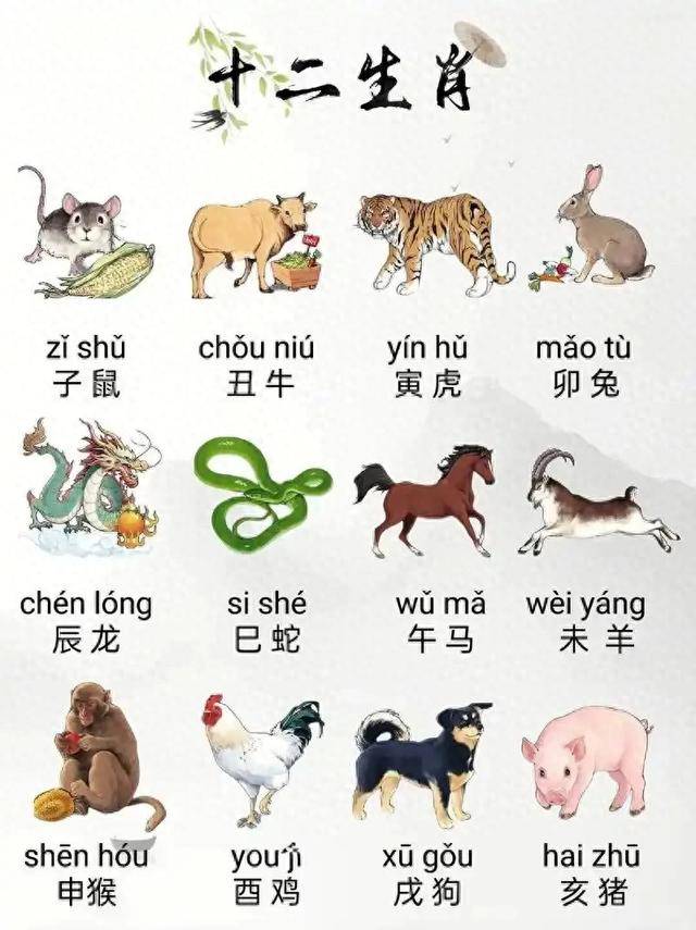 十二生肖怎么来的，通常解释落实