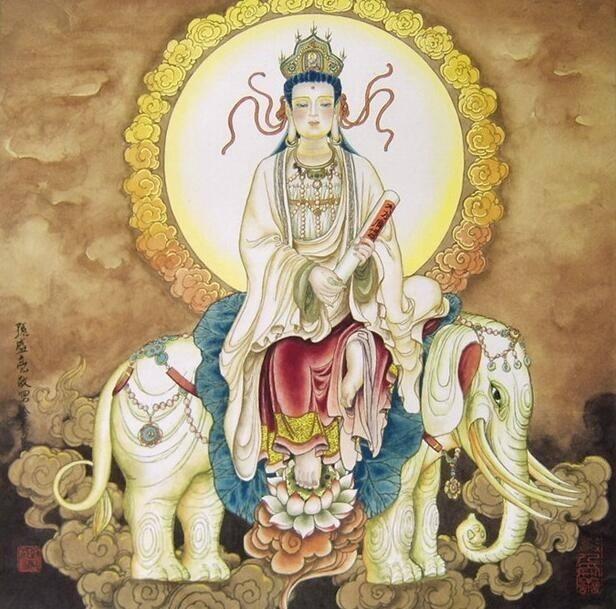 神秘寓言，三头六臂背后的动物谜团与文化解析