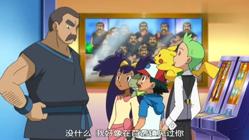 谜语解析，无头无尾的生肖之谜