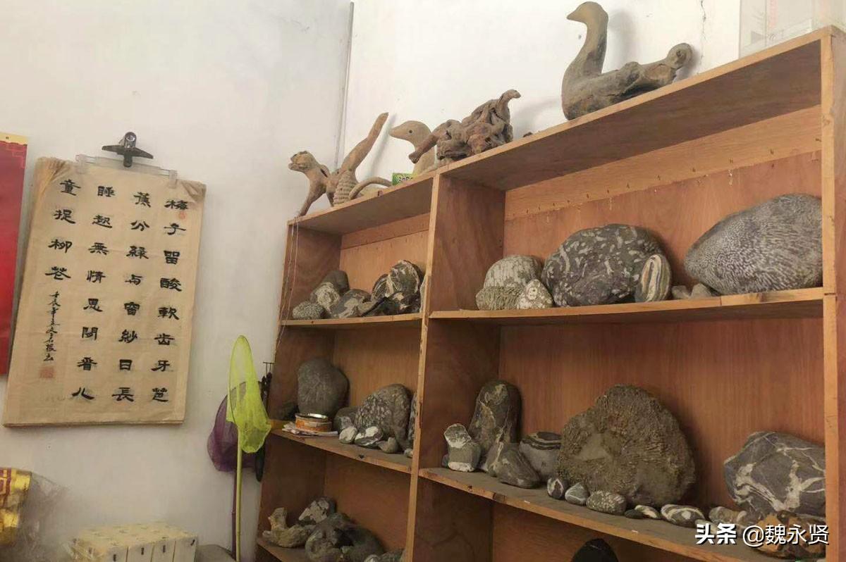 生肖蛇和虎相冲吗，无限解释落实