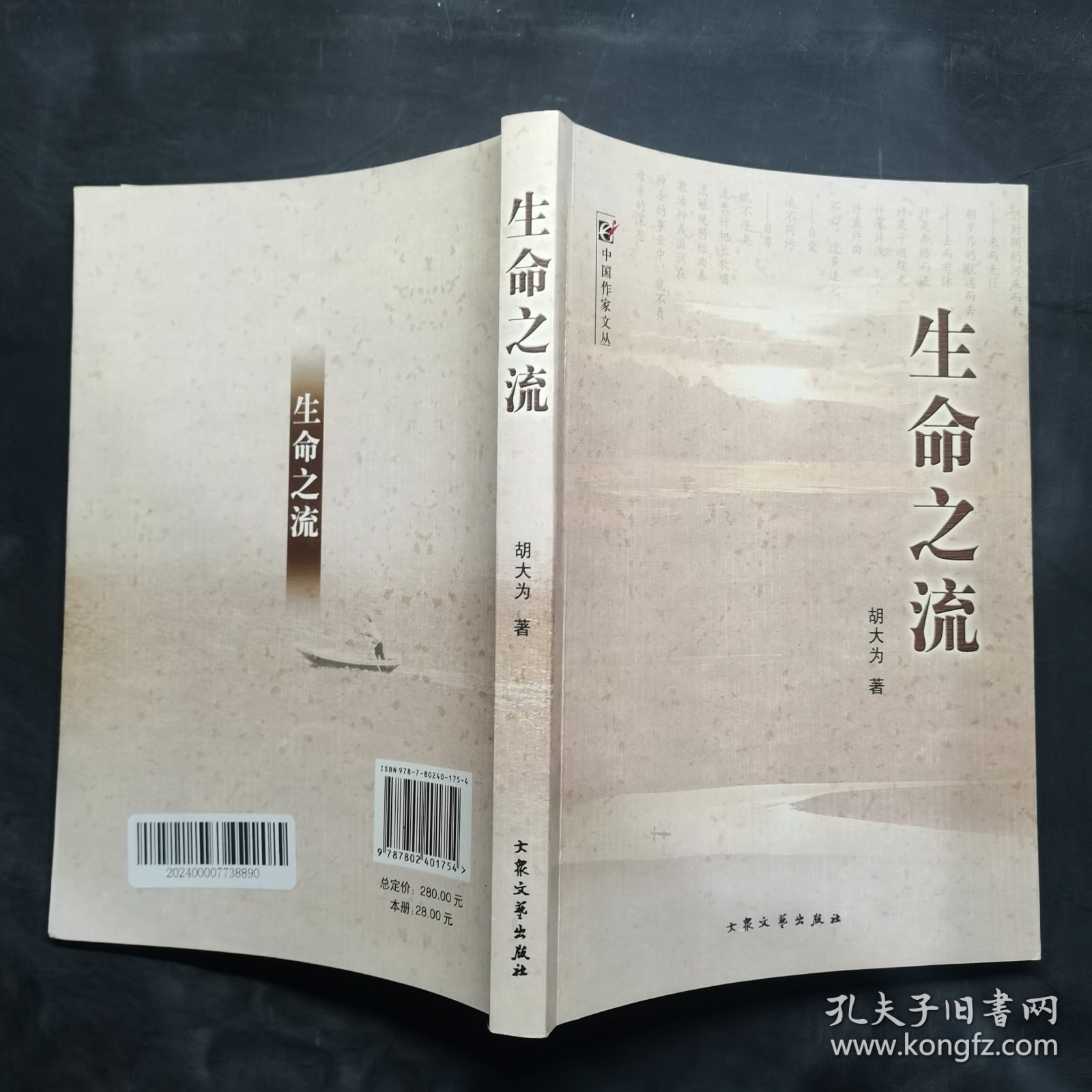 十二生肖水肖之谜，探寻生命之流的哲学启示