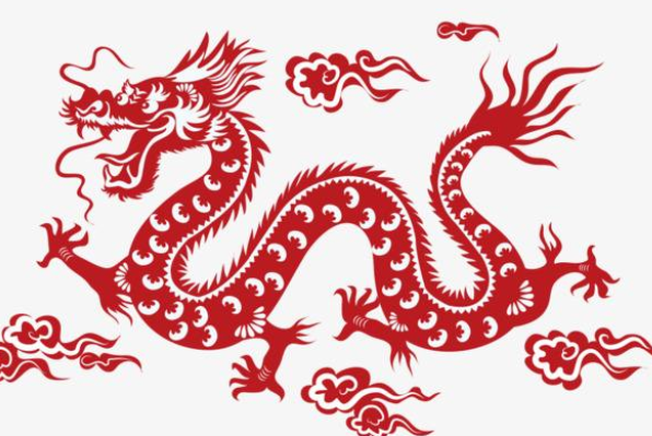 龙跟什么生肖配对最好，正确解释与落实