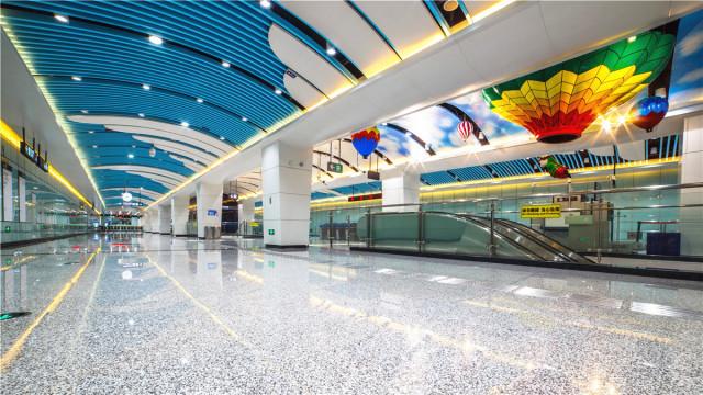 腾云驾雾，猜一动物与人生哲理的深度解析