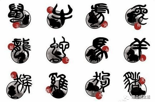 黎民百姓猜一生肖，深度解析与智慧思考