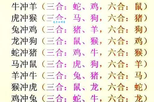 七嘴八舌猜一动物，落实相信的解释