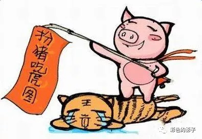 扮猪吃虎是什么生肖，正确解释与落实