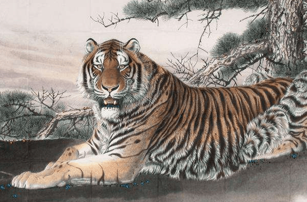 威风八面，生肖虎的传奇与寓意