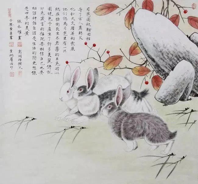 如鱼得水，探秘其背后的生肖寓意与文化深意