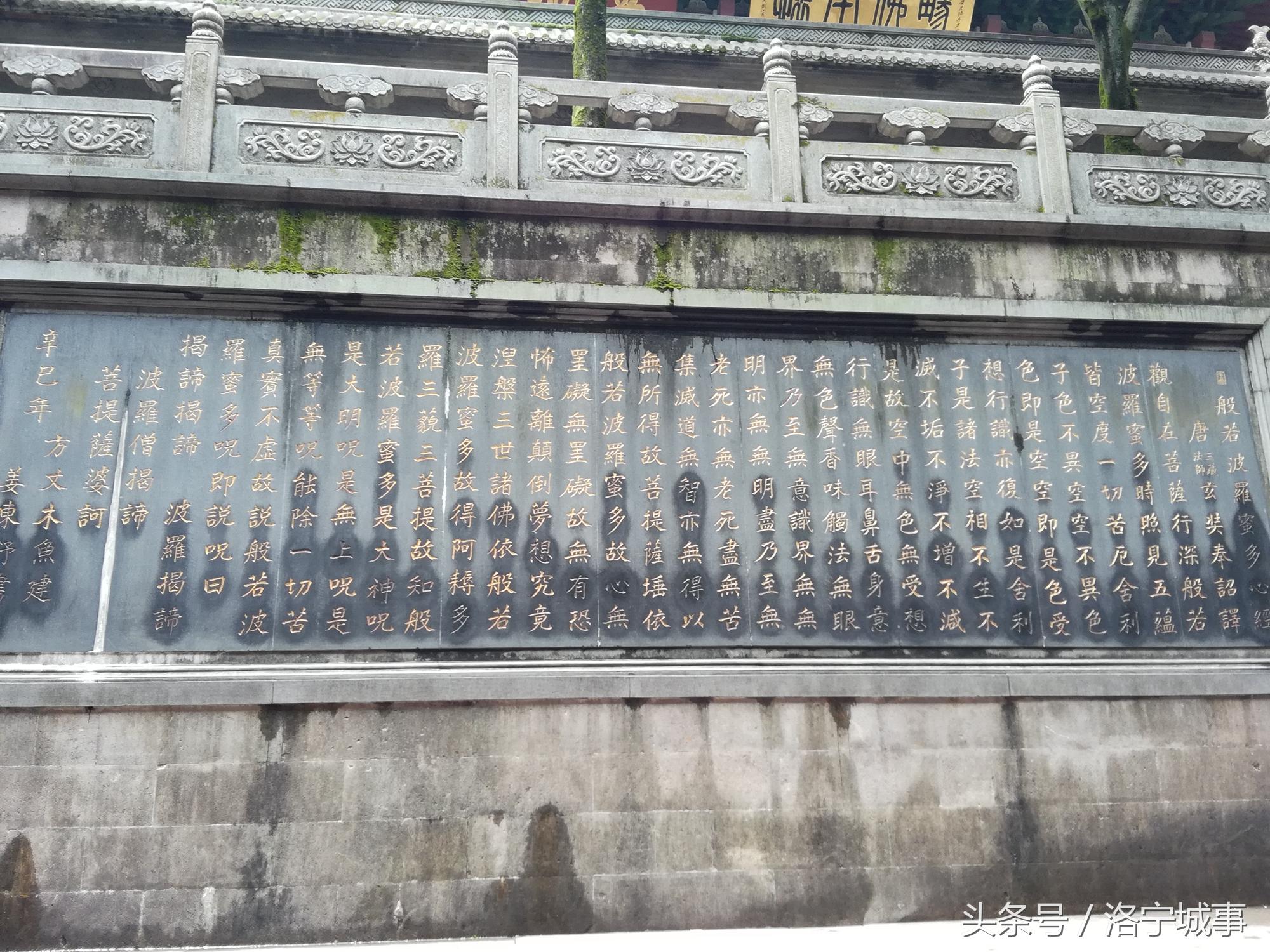 济公的生肖之谜，精选解析与落实的详细结果