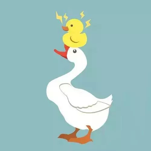 死气沉沉猜一动物，揭秘背后的文化与智慧