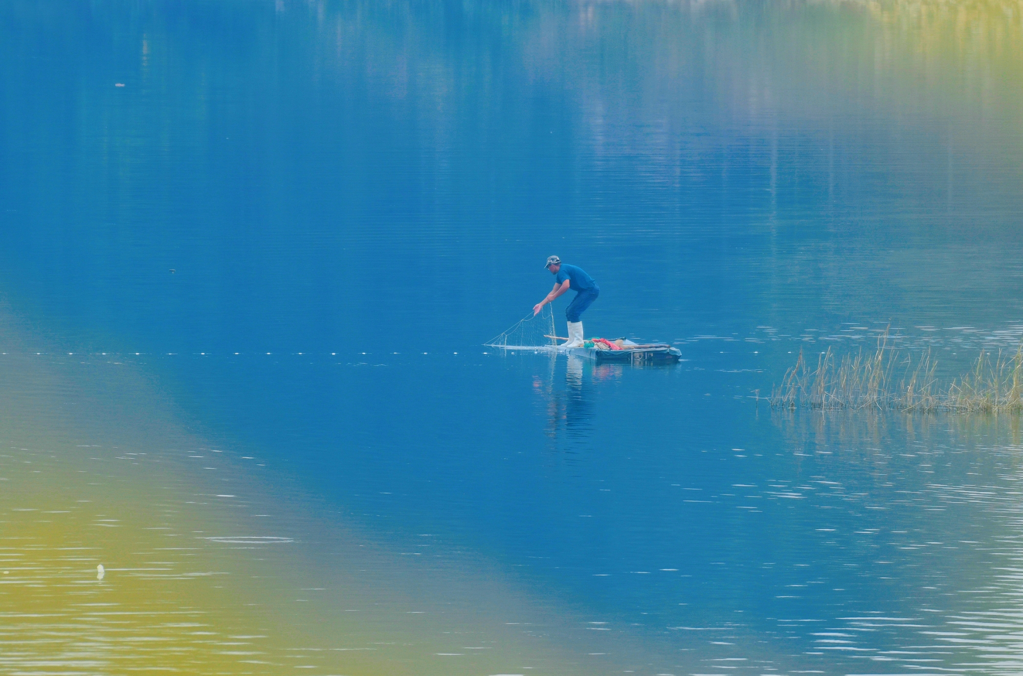 江水如蓝一片绿猜一动物，深度解析与落实