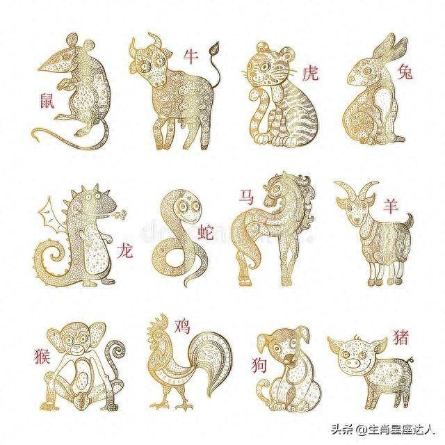 谜团揭晓，流离遇合的生肖之谜