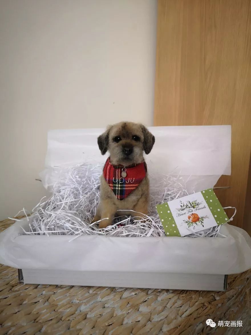 心灵手巧打一生肖动物，词语的深层释义与文化解读