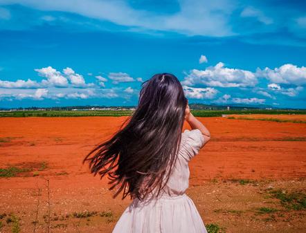 经典谜语解析，不折不扣打一生肖