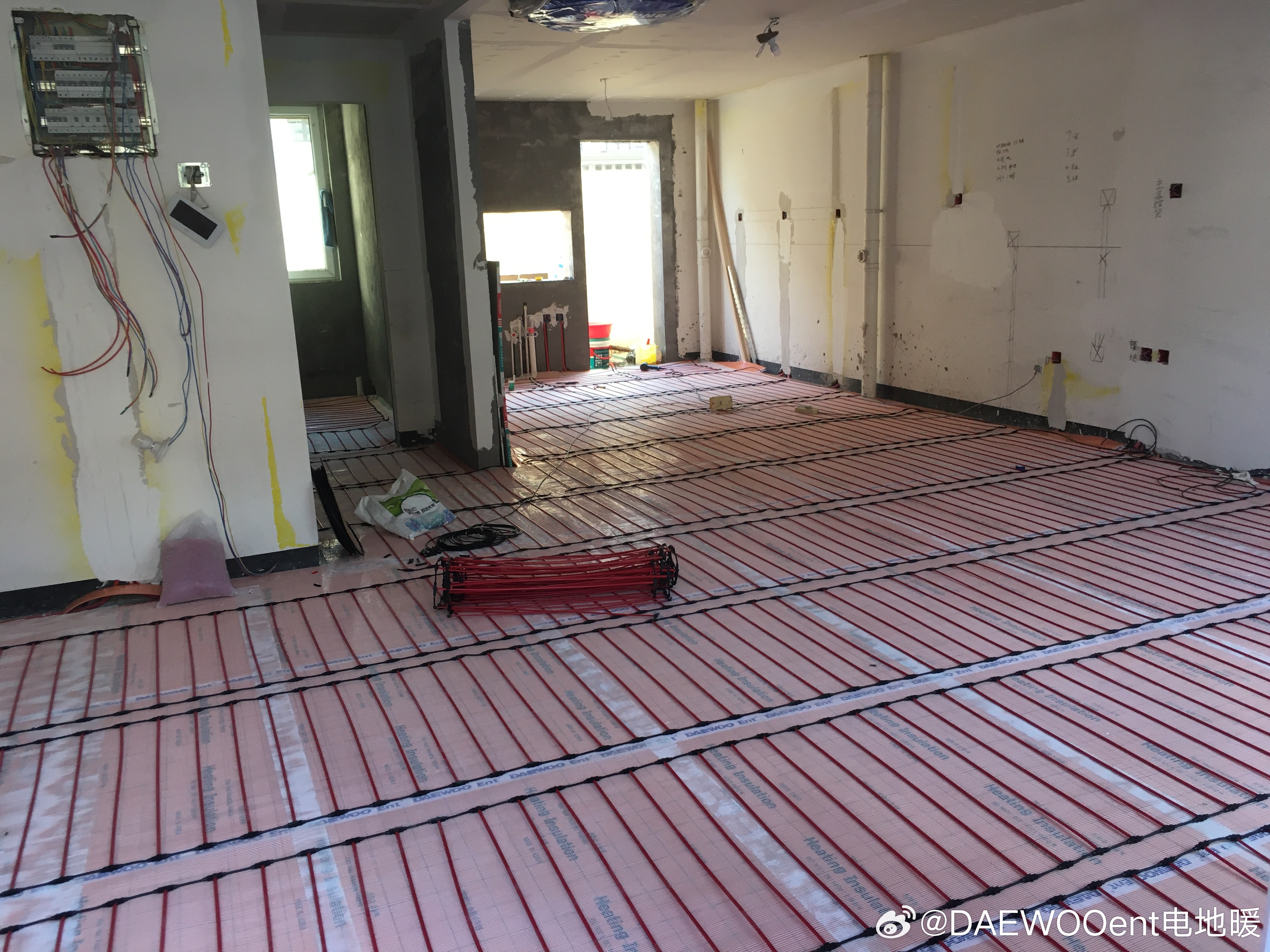 阳光照耀大地暖，生肖之谜的温馨解读