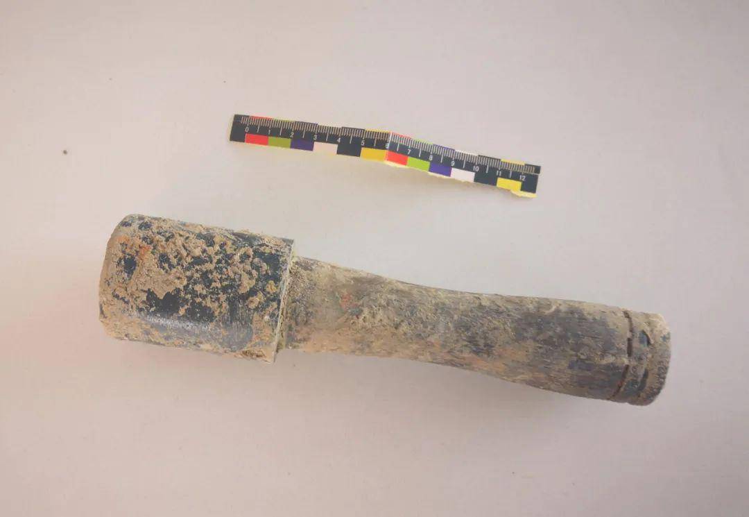 铁头长角羊成群,寓言中的智慧与启示 铁头长角羊成群,寓言中的智慧与启示